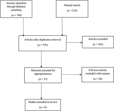 Psychological risks experienced by interpreters in the domestic violence cases: a systematic review